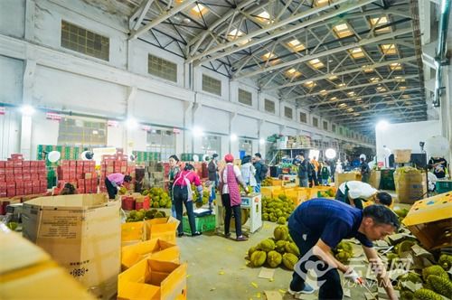 走进助农基地 研讨直播电商 专家达人聚云南共话直播助农