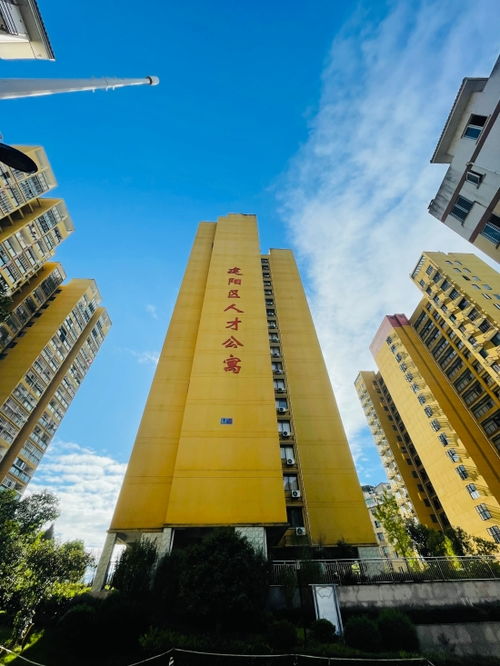 南平建阳区 人才引擎 驱动高质量发展