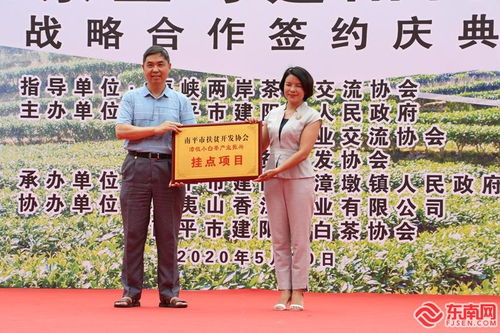 漳墩小白茶牵手香江茶业 共话白茶发展之路