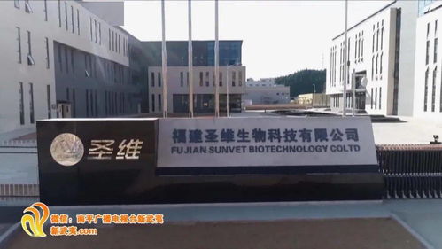 念好 五字经 南平引来 金凤凰