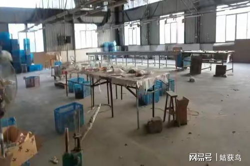 恭喜啊 南平市的一座大型工厂第三次拍卖,被人以582.6万元竞得