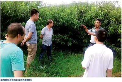 一手拿粉笔一手握锄头的首批“科特派”--记科技特派员、福建省南平市农业学校教师郑承根